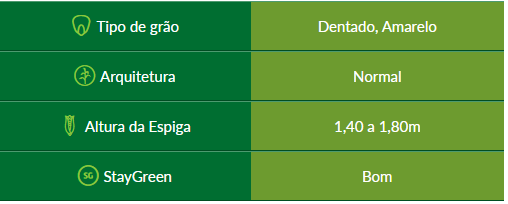 milho bm3051- produtos naturais