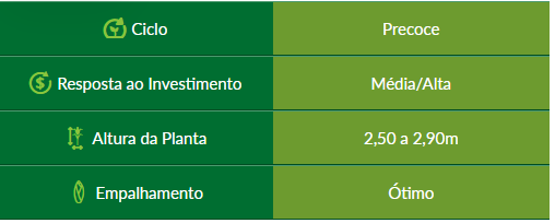 milho produtos naturais